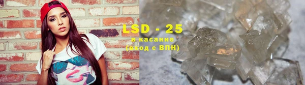 бошки Бородино