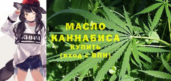 бошки Бородино
