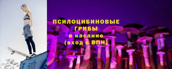 таблы Богородицк