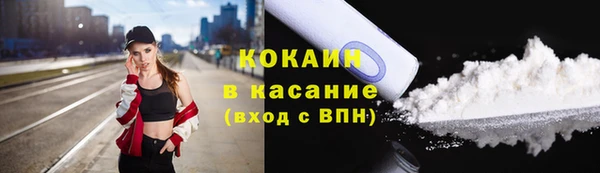 стафф Богданович
