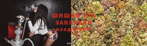 бошки Бородино