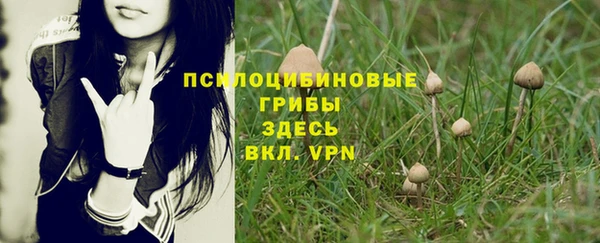 бошки Бородино