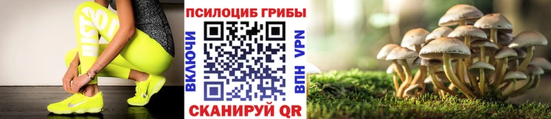 магазин продажи наркотиков  МЕГА сайт  Псилоцибиновые грибы мицелий  Воронеж 
